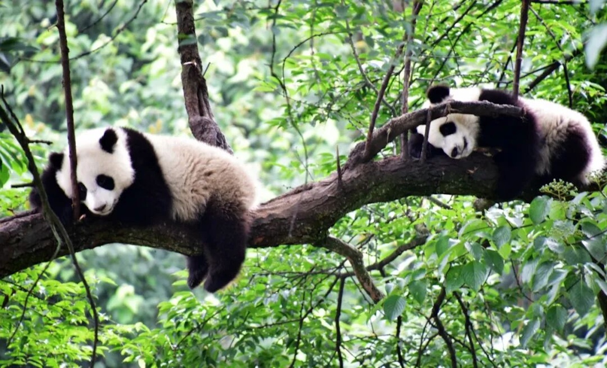 17621546851894427k4k.jpg 5.jpg