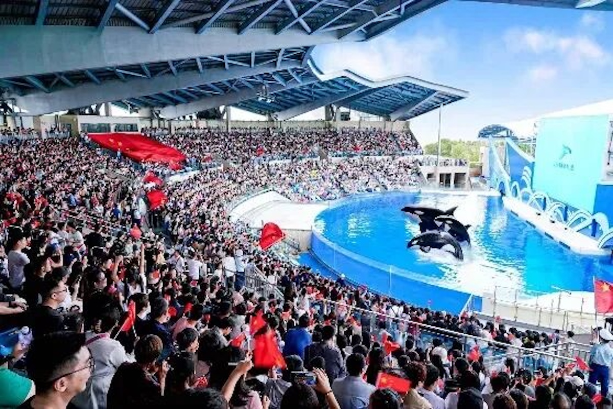 17622193493123274HGG.jpg 3.jpg